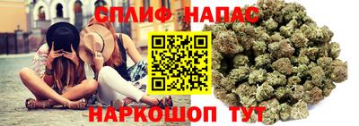 прущие грибы Бузулук