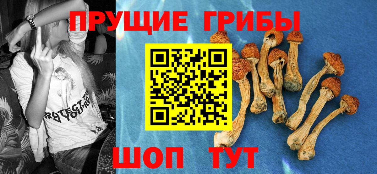 Галлюциногенные грибы GOLDEN TEACHER Мурино