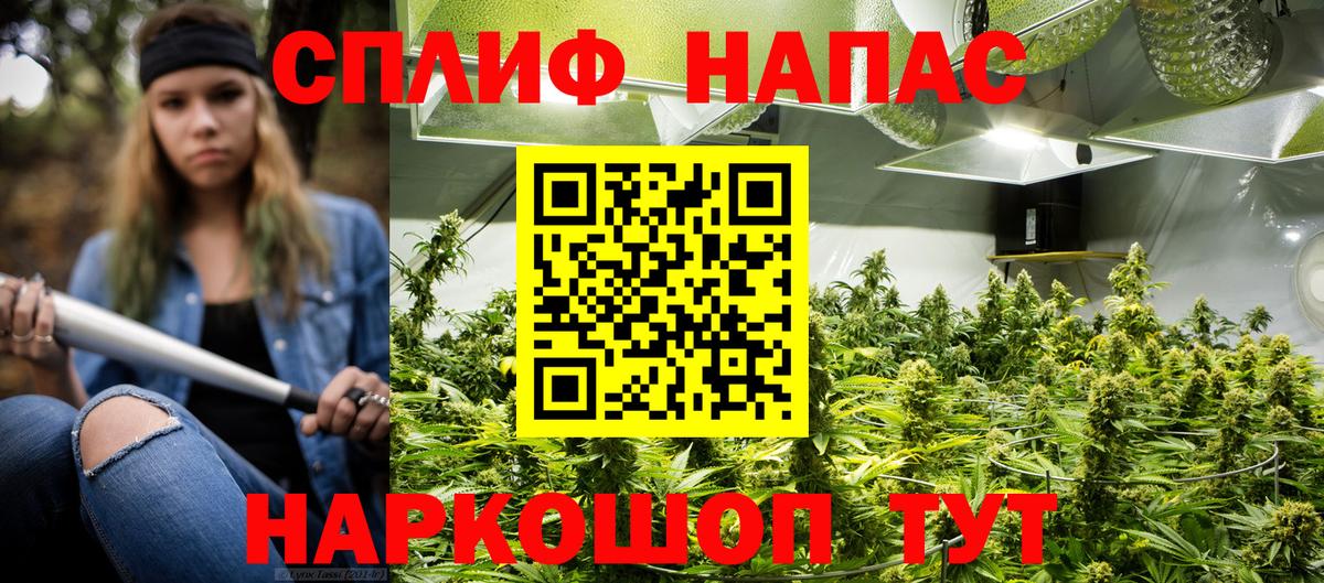 Марихуана конопля  Канабис MAZAR  Вход с VPN  Бошки марихуана план  Мурино 